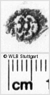 Image Description for https://www.hist-einband.de/Bilder/WLB/MIG/images/s0122825.jpg