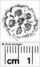 Image Description for https://www.hist-einband.de/Bilder/WLB/MIG/images/s0123057.jpg