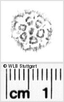 Image Description for https://www.hist-einband.de/Bilder/WLB/MIG/images/s0131011.jpg