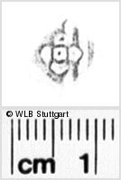 Image Description for https://www.hist-einband.de/Bilder/WLB/MIG/images/s0131013.jpg