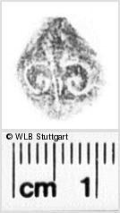 Image Description for https://www.hist-einband.de/Bilder/WLB/MIG/images/s0132451.jpg