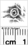 Image Description for https://www.hist-einband.de/Bilder/WLB/MIG/images/s0132506.jpg