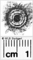 Image Description for https://www.hist-einband.de/Bilder/WLB/MIG/images/s0132609.jpg