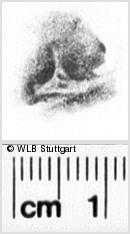 Image Description for https://www.hist-einband.de/Bilder/WLB/MIG/images/s0133420.jpg