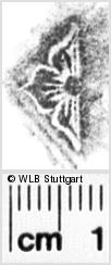 Image Description for https://www.hist-einband.de/Bilder/WLB/MIG/images/s0134819.jpg