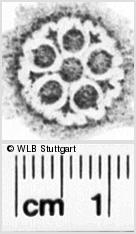 Image Description for https://www.hist-einband.de/Bilder/WLB/MIG/images/s0135104.jpg