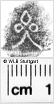 Image Description for https://www.hist-einband.de/Bilder/WLB/MIG/images/s0135113.jpg