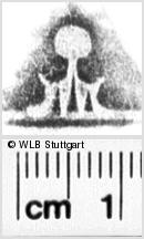 Image Description for https://www.hist-einband.de/Bilder/WLB/MIG/images/s0135310.jpg