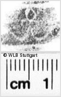 Image Description for https://www.hist-einband.de/Bilder/WLB/MIG/images/s0135912.jpg