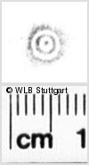 Image Description for https://www.hist-einband.de/Bilder/WLB/MIG/images/s0136507.jpg