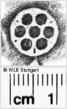 Image Description for https://www.hist-einband.de/Bilder/WLB/MIG/images/s0141209.jpg