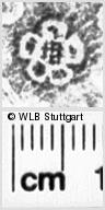 Image Description for https://www.hist-einband.de/Bilder/WLB/MIG/images/s0145141.jpg