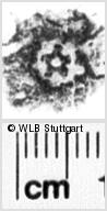 Image Description for https://www.hist-einband.de/Bilder/WLB/MIG/images/s0145936.jpg