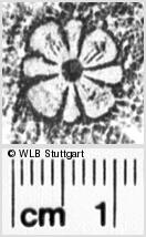 Image Description for https://www.hist-einband.de/Bilder/WLB/MIG/images/s0152509.jpg