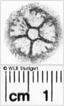 Image Description for https://www.hist-einband.de/Bilder/WLB/MIG/images/s0152522.jpg