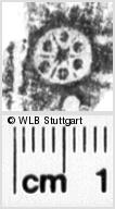 Image Description for https://www.hist-einband.de/Bilder/WLB/MIG/images/s0153409.jpg