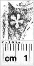 Image Description for https://www.hist-einband.de/Bilder/WLB/MIG/images/s0156108.jpg