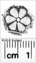 Image Description for https://www.hist-einband.de/Bilder/WLB/MIG/images/s0160702.jpg