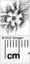 Image Description for https://www.hist-einband.de/Bilder/WLB/MIG/images/s0163206.jpg