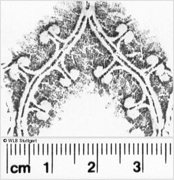 Image Description for https://www.hist-einband.de/Bilder/WLB/MIG/images/s0163307.jpg