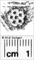 Image Description for https://www.hist-einband.de/Bilder/WLB/MIG/images/s0165405.jpg