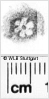 Image Description for https://www.hist-einband.de/Bilder/WLB/MIG/images/s0165512.jpg
