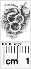 Image Description for https://www.hist-einband.de/Bilder/WLB/MIG/images/s0166606.jpg
