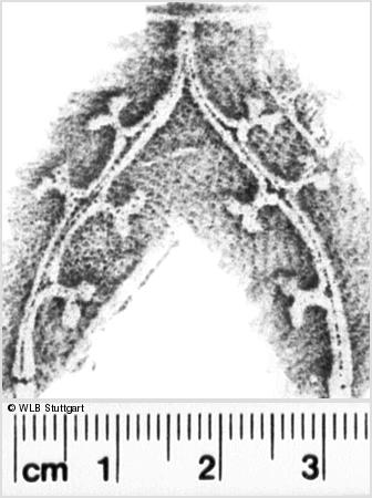 Image Description for https://www.hist-einband.de/Bilder/WLB/MIG/images/s0167406.jpg