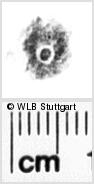 Image Description for https://www.hist-einband.de/Bilder/WLB/MIG/images/s0167911.jpg