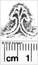 Image Description for https://www.hist-einband.de/Bilder/WLB/MIG/images/s0172112.jpg