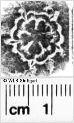 Image Description for https://www.hist-einband.de/Bilder/WLB/MIG/images/s0180407.jpg