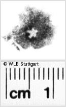Image Description for https://www.hist-einband.de/Bilder/WLB/MIG/images/s0180408.jpg