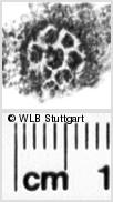 Image Description for https://www.hist-einband.de/Bilder/WLB/MIG/images/s0181207.jpg