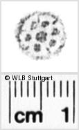 Image Description for https://www.hist-einband.de/Bilder/WLB/MIG/images/s0181307.jpg