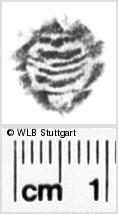 Image Description for https://www.hist-einband.de/Bilder/WLB/MIG/images/s0181606.jpg