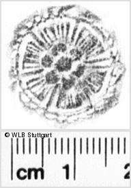 Image Description for https://www.hist-einband.de/Bilder/WLB/MIG/images/s0181805.jpg