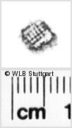 Image Description for https://www.hist-einband.de/Bilder/WLB/MIG/images/s0181809.jpg