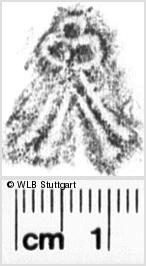 Image Description for https://www.hist-einband.de/Bilder/WLB/MIG/images/s0182410.jpg