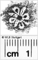 Image Description for https://www.hist-einband.de/Bilder/WLB/MIG/images/s0183308.jpg