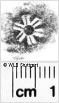Image Description for https://www.hist-einband.de/Bilder/WLB/MIG/images/s0183407.jpg