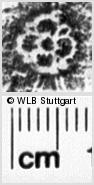 Image Description for https://www.hist-einband.de/Bilder/WLB/MIG/images/s0184304.jpg