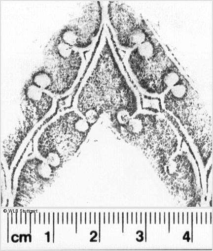 Image Description for https://www.hist-einband.de/Bilder/WLB/MIG/images/s0185910.jpg