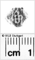 Image Description for https://www.hist-einband.de/Bilder/WLB/MIG/images/s0186610.jpg