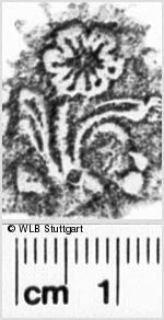 Image Description for https://www.hist-einband.de/Bilder/WLB/MIG/images/s0186801.jpg