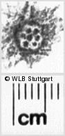 Image Description for https://www.hist-einband.de/Bilder/WLB/MIG/images/s0187011.jpg