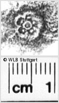 Image Description for https://www.hist-einband.de/Bilder/WLB/MIG/images/s0187911.jpg