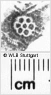Image Description for https://www.hist-einband.de/Bilder/WLB/MIG/images/s0188411.jpg