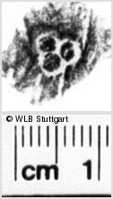 Image Description for https://www.hist-einband.de/Bilder/WLB/MIG/images/s0189405.jpg