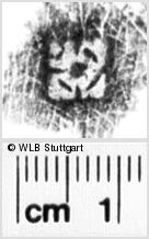 Image Description for https://www.hist-einband.de/Bilder/WLB/MIG/images/s0191906.jpg