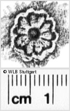 Image Description for https://www.hist-einband.de/Bilder/WLB/MIG/images/s0192107.jpg